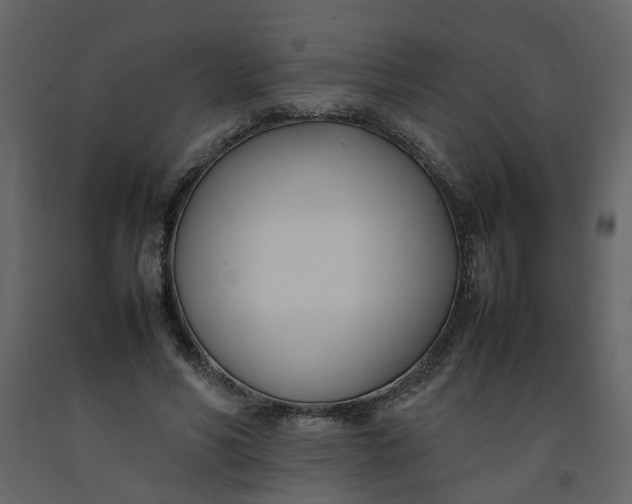 X0000092240590200710051240