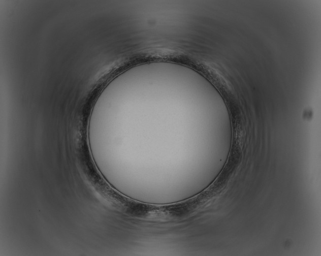 X0000092240591200710051240