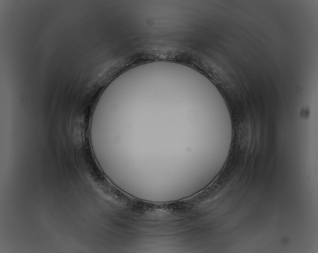 X0000092240594200710051240