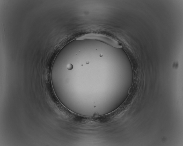 X0000092240597200710051240