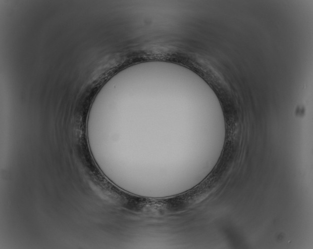 X0000092240599200710051240