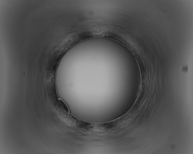 X0000092240601200710051240