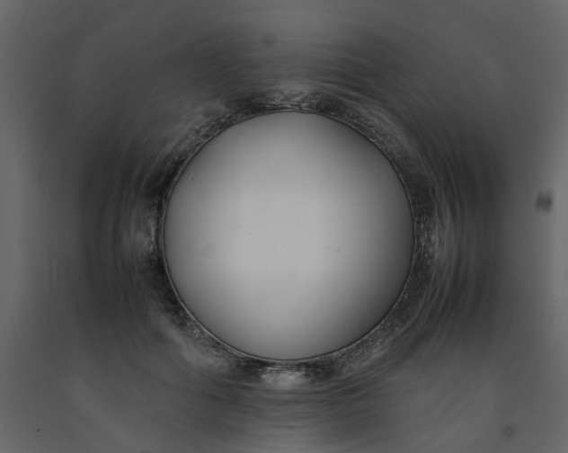 X0000092240602200710051240