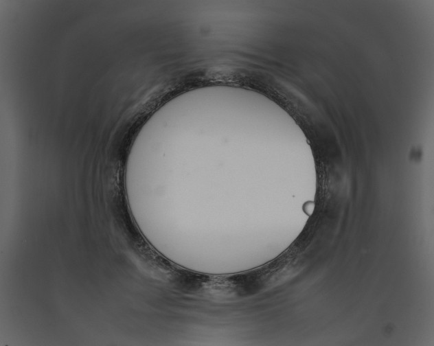 X0000092240603200710051240