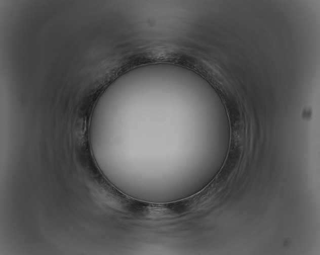 X0000092240605200710051240