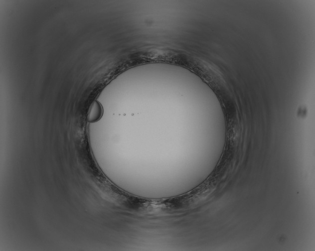 X0000092240607200710051240