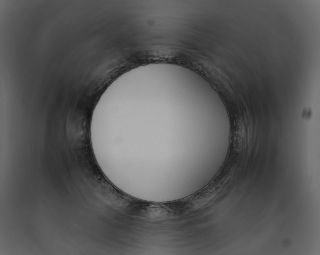 X0000092240608200710051240