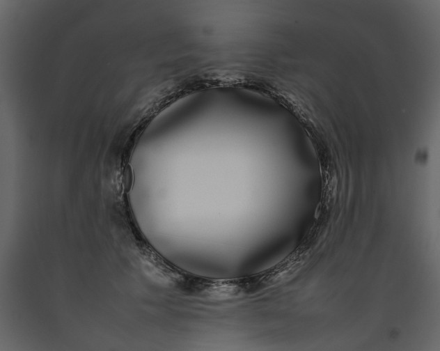 X0000092240609200710051240