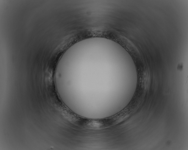 X0000092240610200710051240