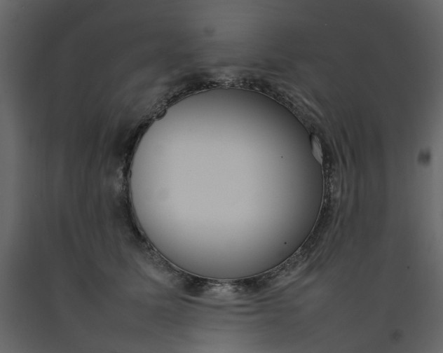 X0000092240611200710051240