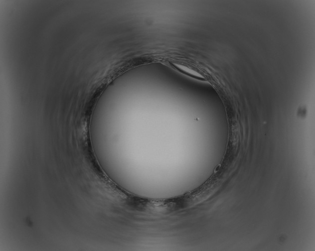 X0000092240613200710051240