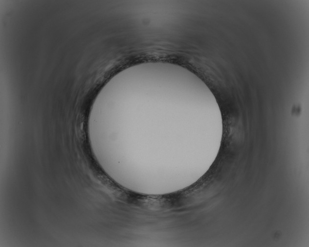 X0000092240615200710051240