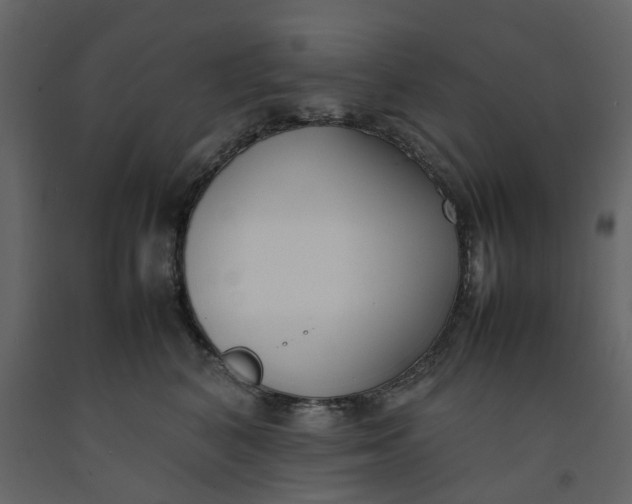 X0000092240616200710051240