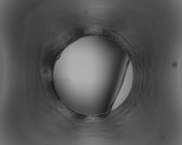 X0000092240617200710051240