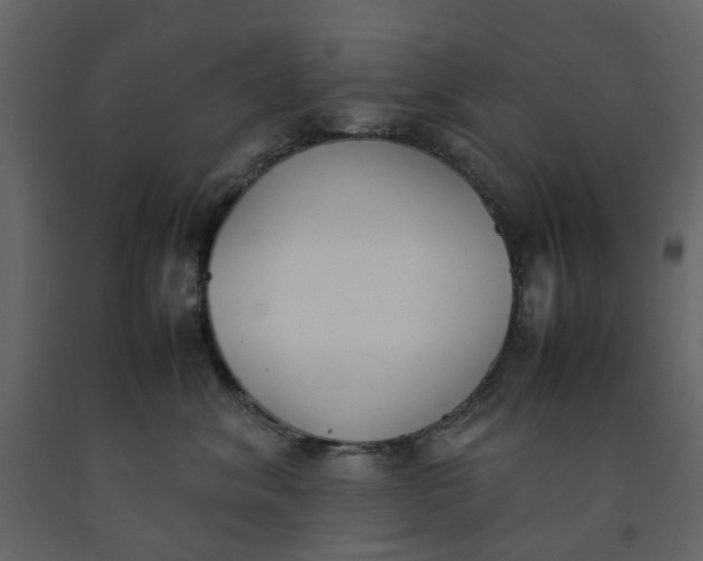 X0000092240620200710051240