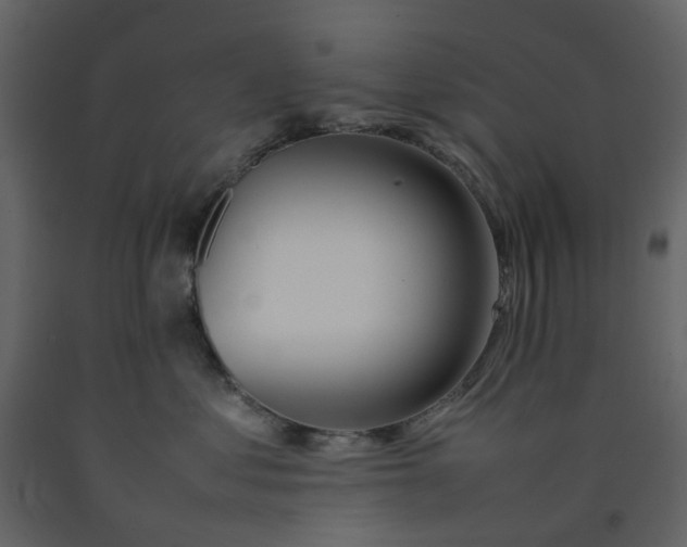 X0000092240621200710051240