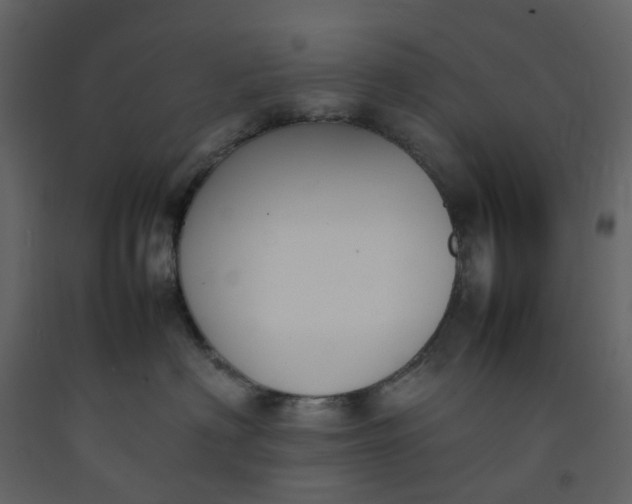 X0000092240622200710051240