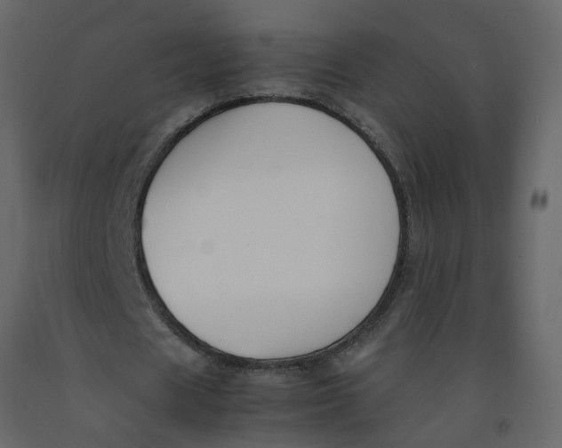 X0000092240625200710051239