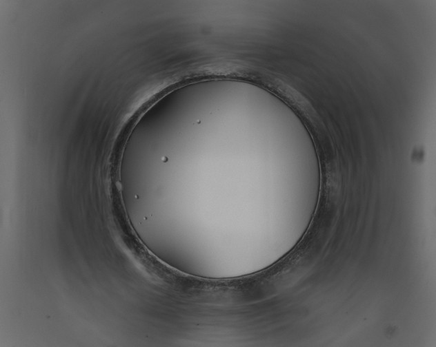 X0000092240626200710051239