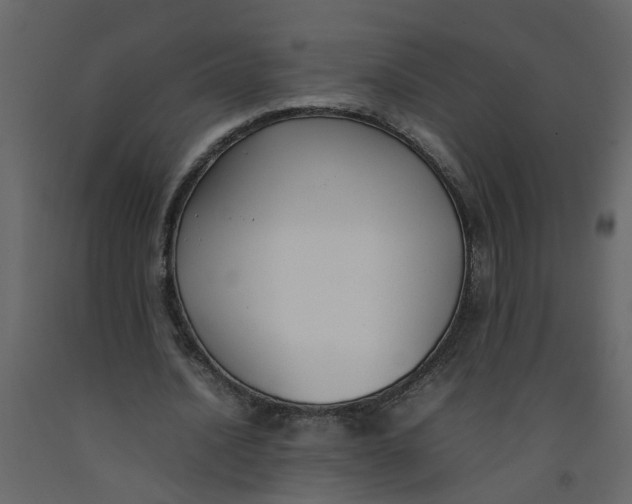 X0000092240628200710051239