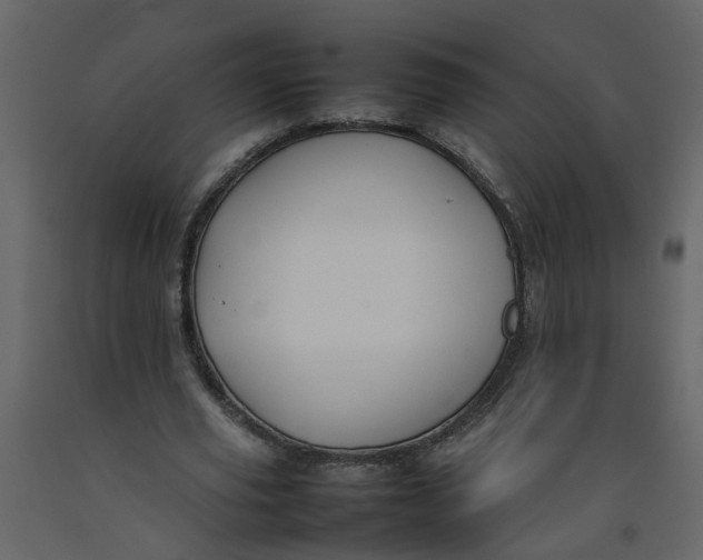 X0000092240629200710051239