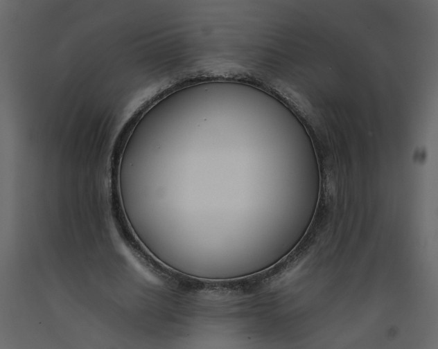 X0000092240630200710051239