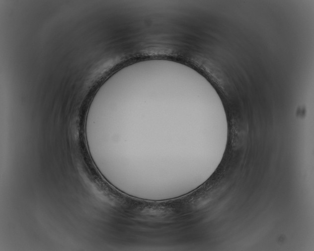 X0000092240631200710051239