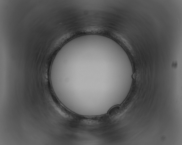 X0000092240633200710051239