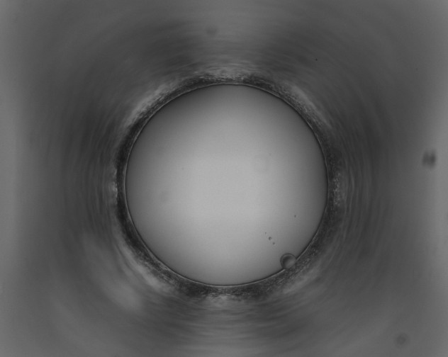 X0000092240634200710051239