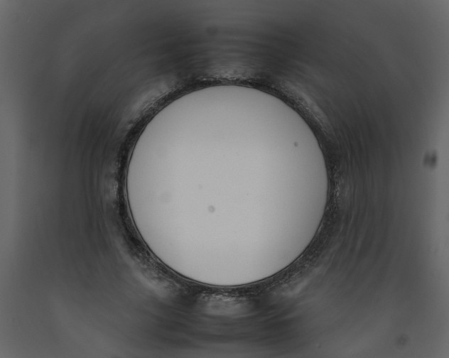 X0000092240635200710051239