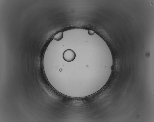 X0000092240636200710051239