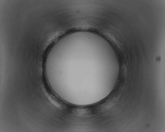 X0000092240638200710051239