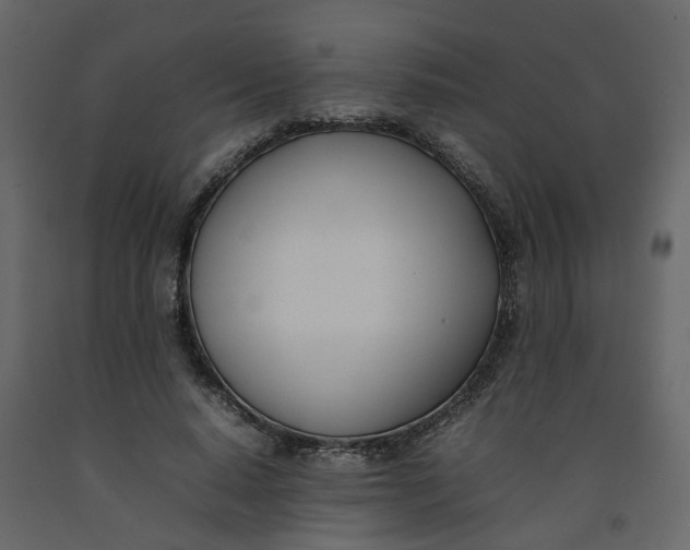 X0000092240640200710051239