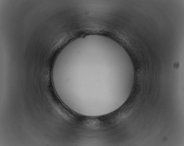 X0000092240642200710051239