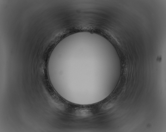 X0000092240643200710051239