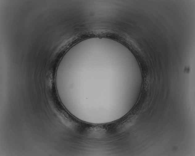 X0000092240644200710051239