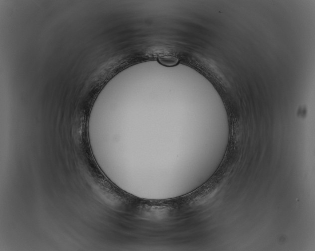 X0000092240645200710051239