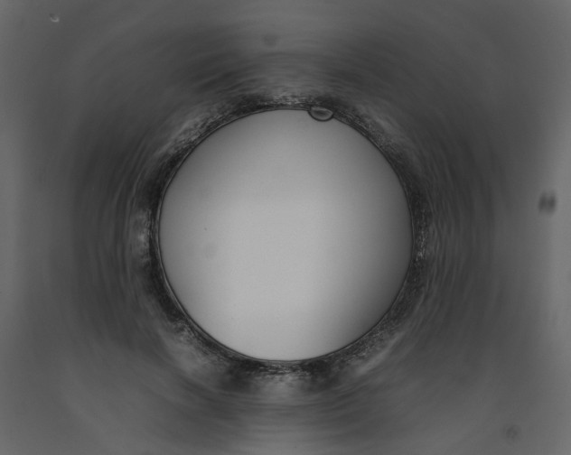 X0000092240646200710051239