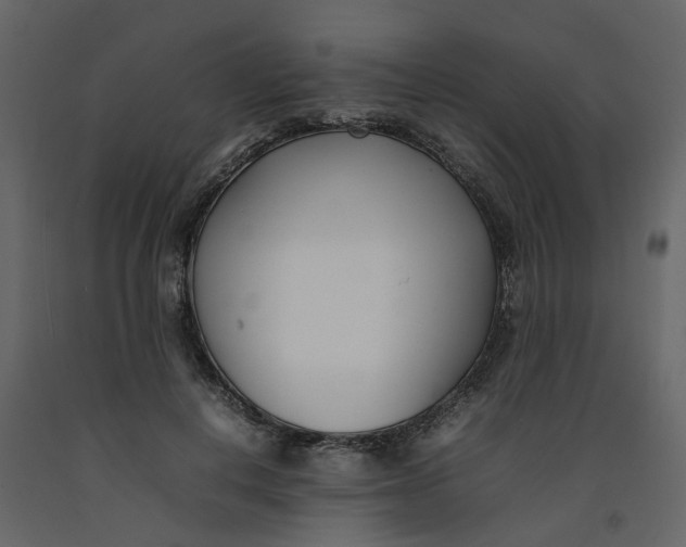 X0000092240648200710051239