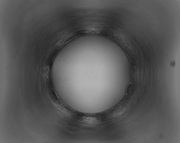 X0000092240649200710051239