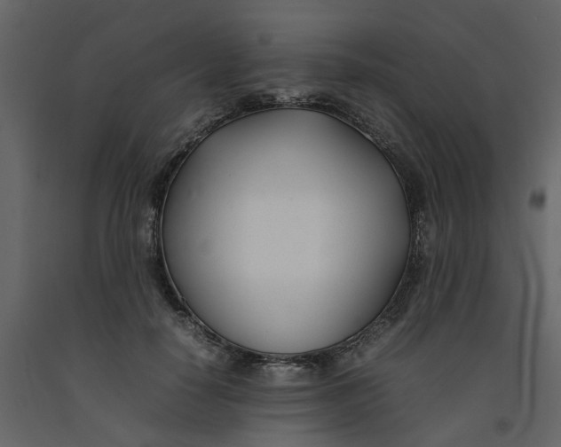 X0000092240650200710051240