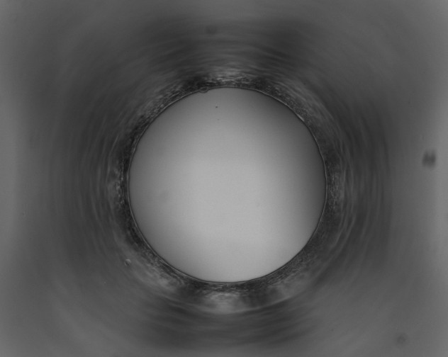 X0000092240653200710051240