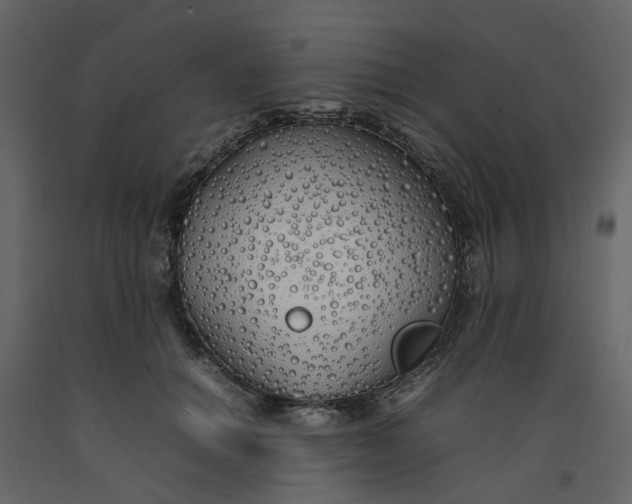 X0000092240654200710051240