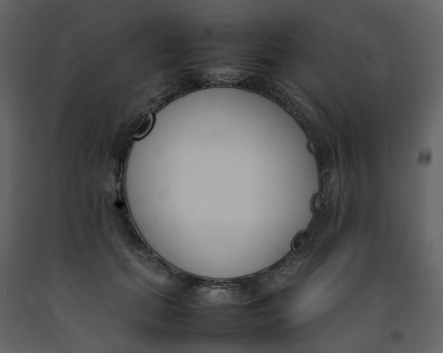 X0000092240655200710051240