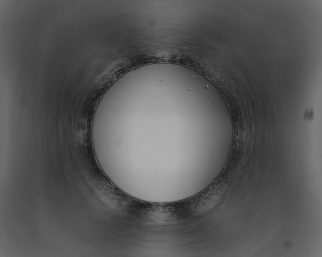 X0000092240656200710051240