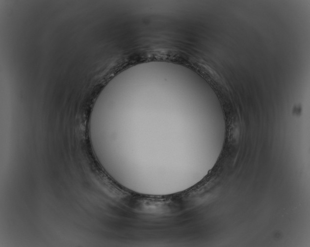 X0000092240661200710051240