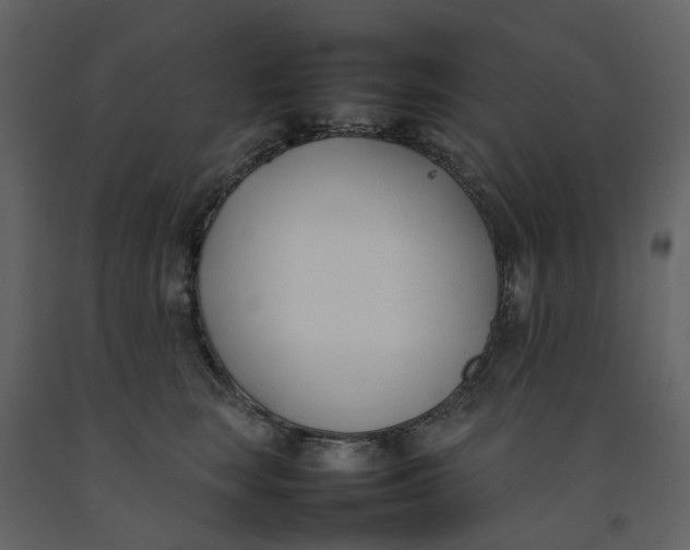 X0000092240663200710051240