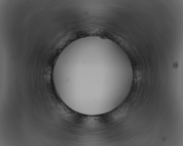 X0000092240664200710051240