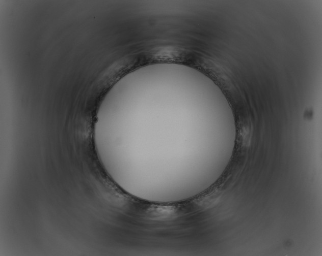 X0000092240665200710051240