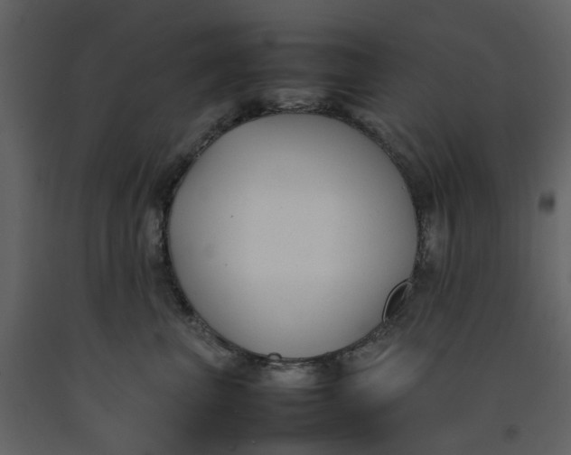 X0000092240667200710051240